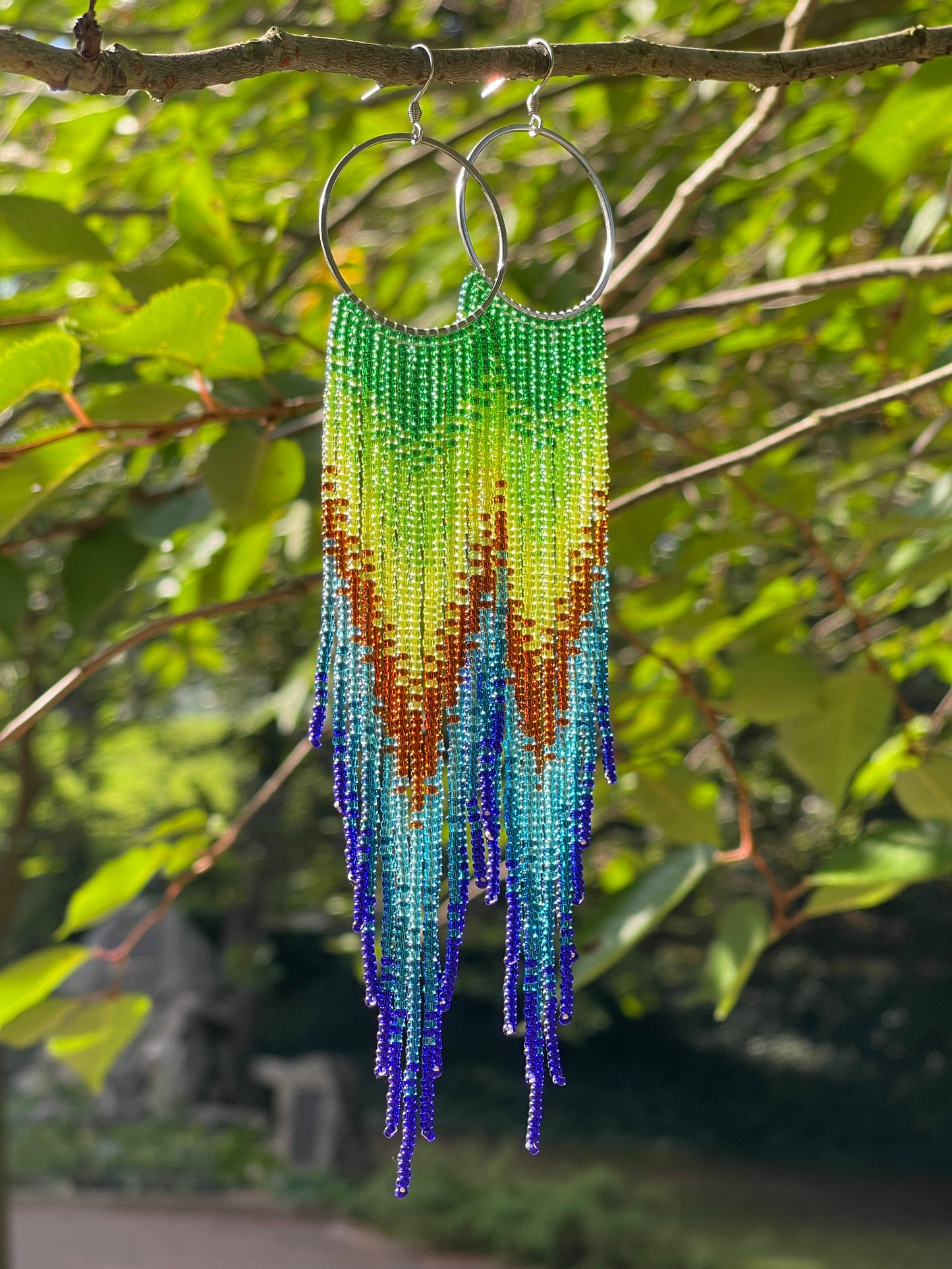 Proud Peacock
